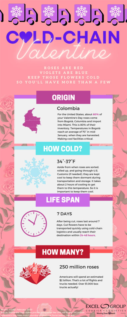 Flower cold chain infographic